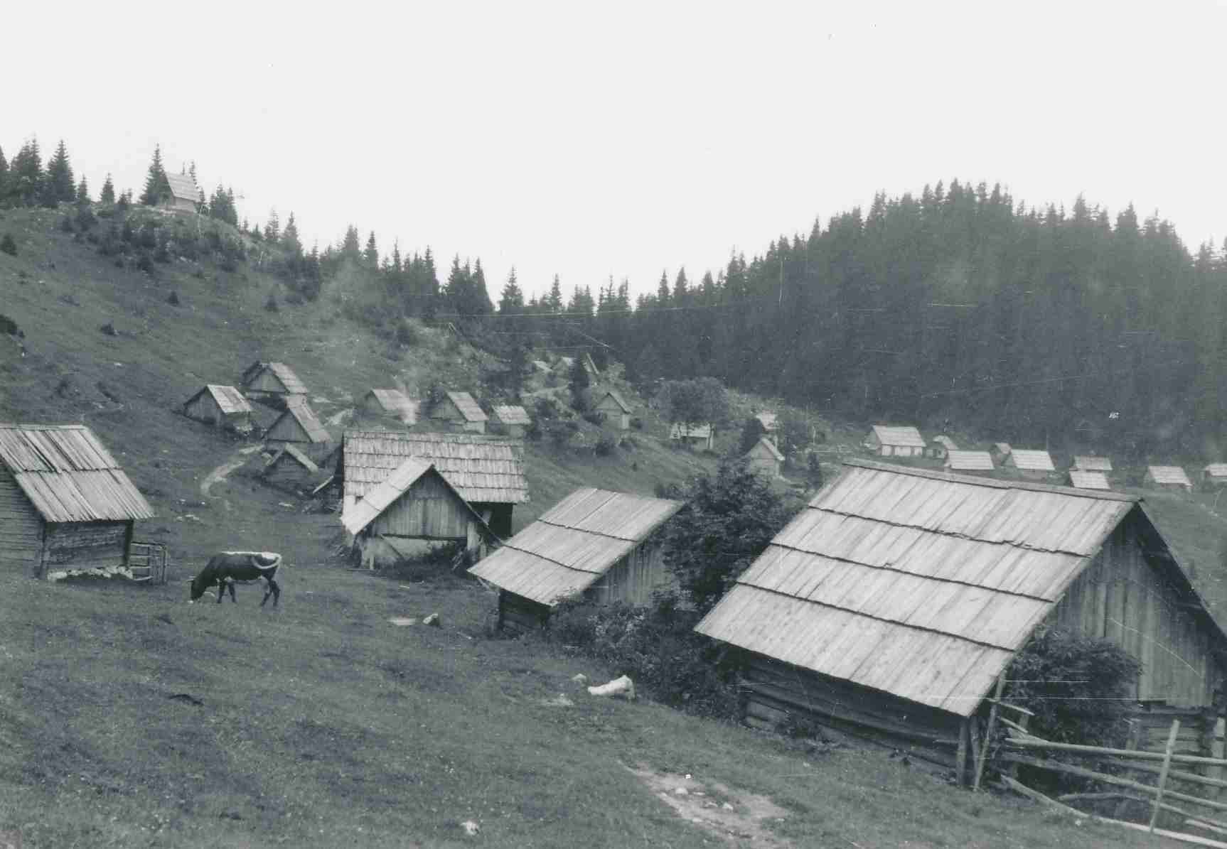 eika image